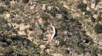 2021_04-18b_b_photo_of_paraglider_from_helicopter.jpeg (102.47 KiB) Viewed 13909 times 2021_04-18b_b_photo_of_paraglider_from_helicopter.jpeg